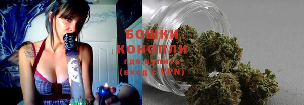PSILOCYBIN Вязники