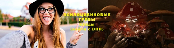 мет Вяземский